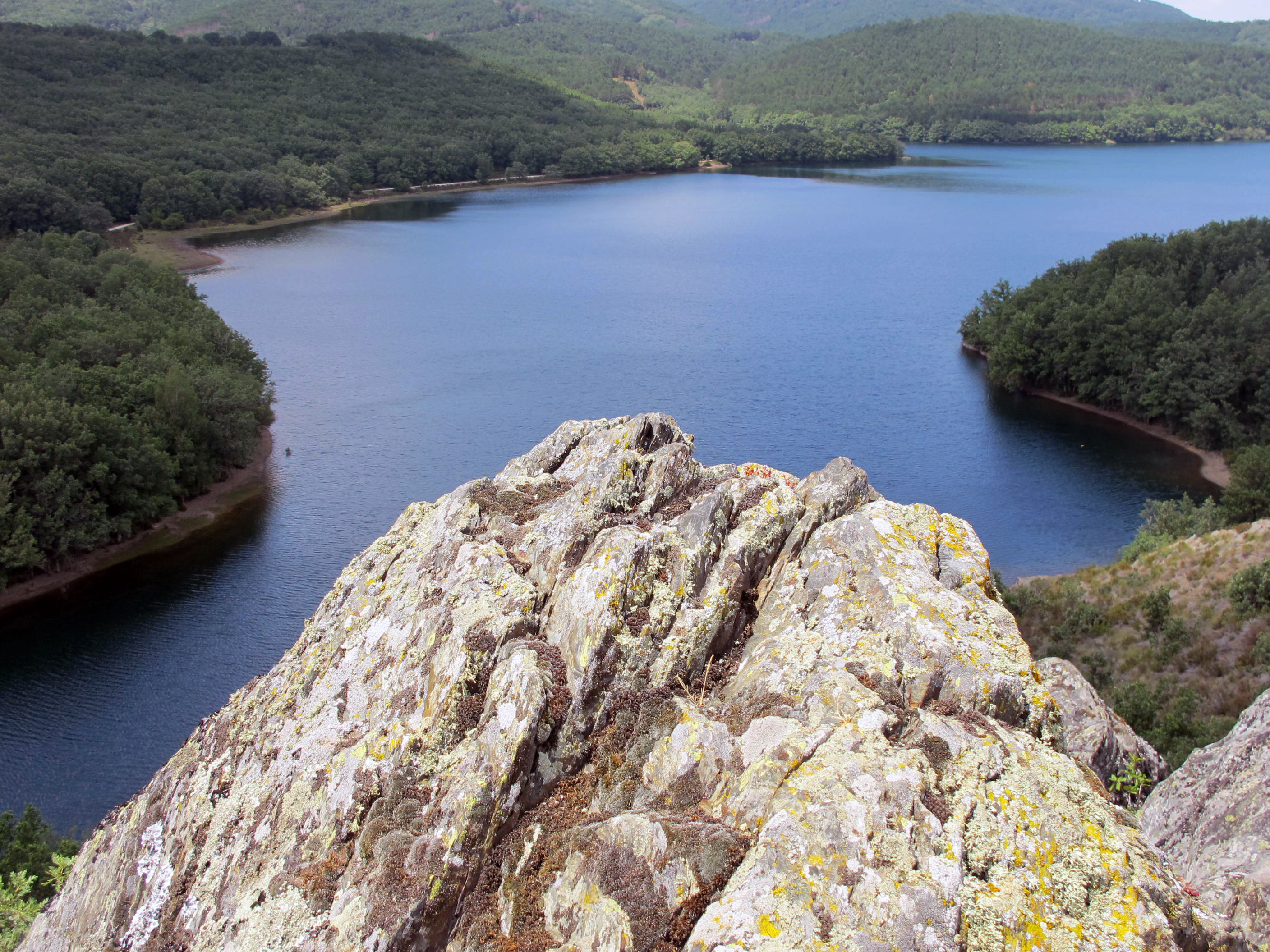 Pantano